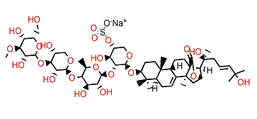 Magnumoside B1